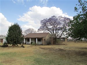 5 ha Farm in Rietfontein