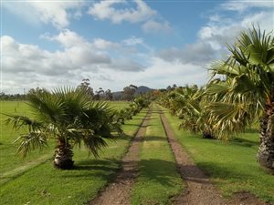 14 ha Farm in Cape Farms