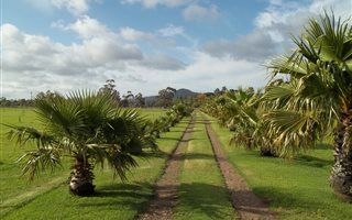 14 ha Farm in Cape Farms