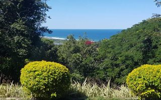 25 ha Farm with House in Hibberdene