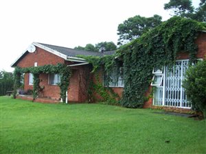 3 Bed House in Forest Hills