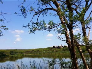 2582 m² Land available in Albert Falls