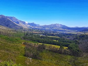 9590 m² Farm in George Central