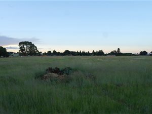 4.4 ha Farm in Hillside AH