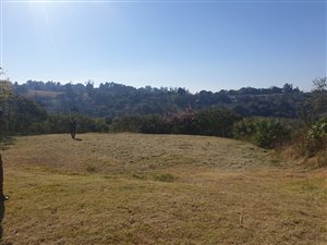 1.2 ha Land available in Waterfall