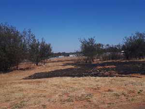 4 ha Land available in Homestead Apple Orchards