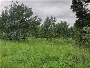 2 ha Land available in Crestholme