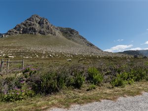 22.3 ha Farm in Bettys Bay