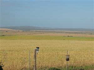 9 ha Farm in Vlees Bay