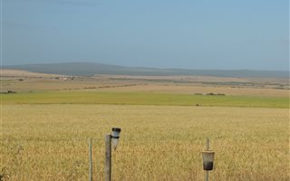 9 ha Farm in Vlees Bay