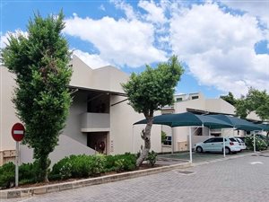 1 Bed Apartment in Glen Austin