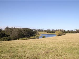 712 ha Farm in Plettenberg Bay Rural