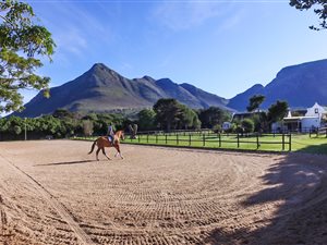 7 Bed House in Noordhoek