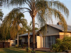 3 Bed House in Moregloed