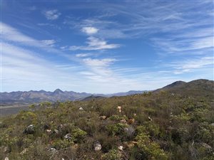 28 ha Land available in Joubertina