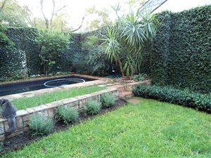 3 Bed Cluster in Dainfern Golf Estate