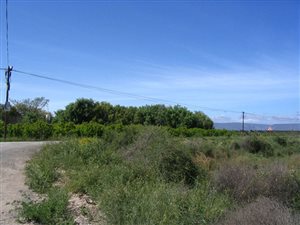 1.1 ha Smallholding in Calitzdorp