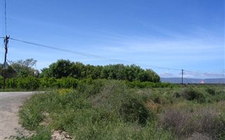 1.1 ha Smallholding in Calitzdorp
