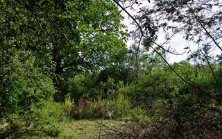 2008 m² Land available in Suurbraak