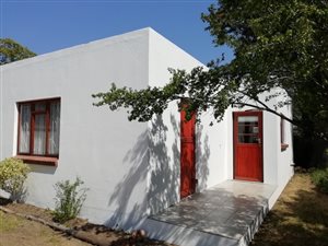 1 Bed Flat in Somerset West Central