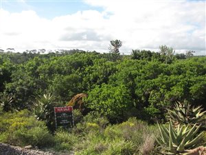 766 m² Land available in Boesmansriviermond