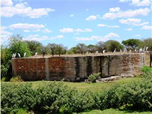 251 ha Farm in Roodepan