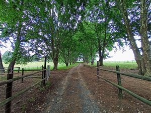 11.1 ha Farm in Boston