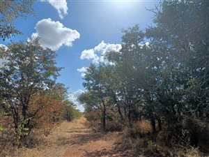 1000 ha Farm in Musina