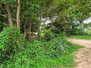 2.7 ha Land available in St Michaels on Sea