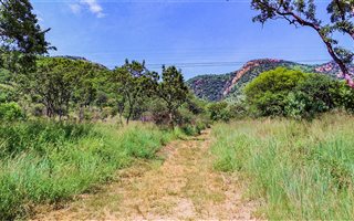 214.9 ha Farm in Barberton