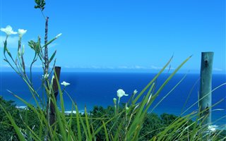 1000 m² Land available in Beachview