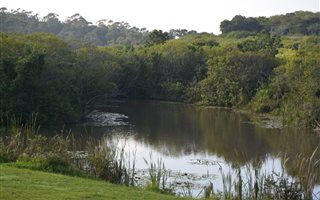 6.7 ha Farmland in Hibberdene