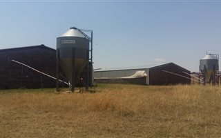 251 ha Farm in Lindley