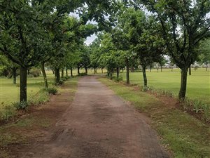 3.8 ha Farm in Northdene