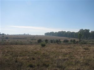 803 m² Land available in Parys