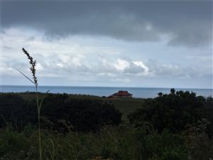 1716 m² Land available in Leisure Bay