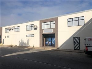 990 m² Commercial space in North End