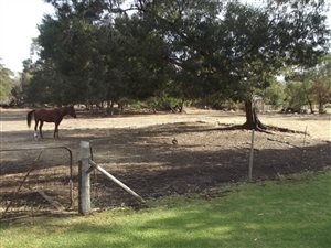 4 ha Farm in Rawsonville