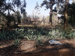 71501 ha Farm in Walkers Fruit Farms