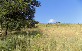 1689 m² Land available in Signal Hill