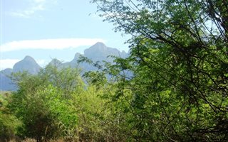 2500 m² Land available in Escarpia