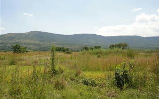 2.1 ha Land available in Utrecht