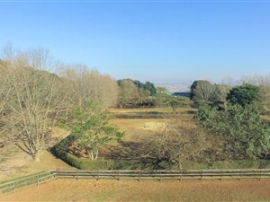 6 ha Farm in Summerveld
