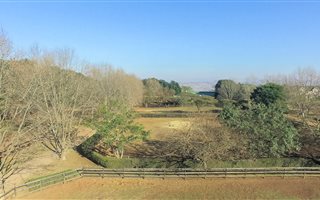 6 ha Farm in Summerveld