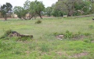 1.2 ha Land available in Alrode
