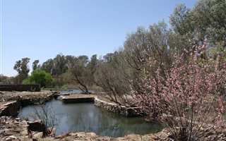16 ha Farm in Magaliesburg