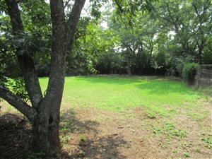 2060 m² Land available in Lynnwood Manor