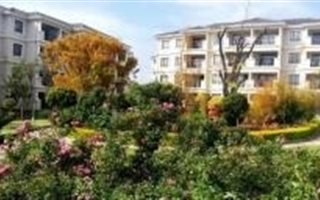 2 Bedroom Apartment in Noordwyk