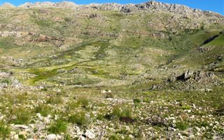 1.6 ha Land available in Wellington Open Space