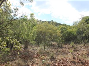 7200 m² Land available in Bela-Bela (Warmbaths)